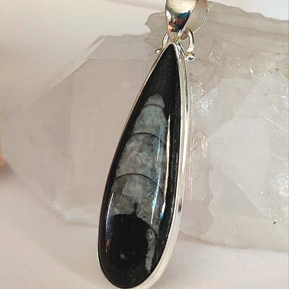 Jewelry - Natural Black Orthoceras Pendant .925 Sterling Silver